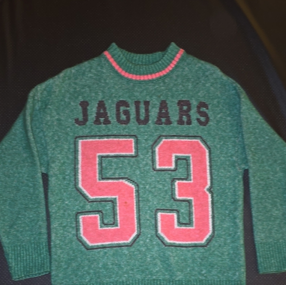 ASOS Green Jaguars Sweater with Pink and Black Details